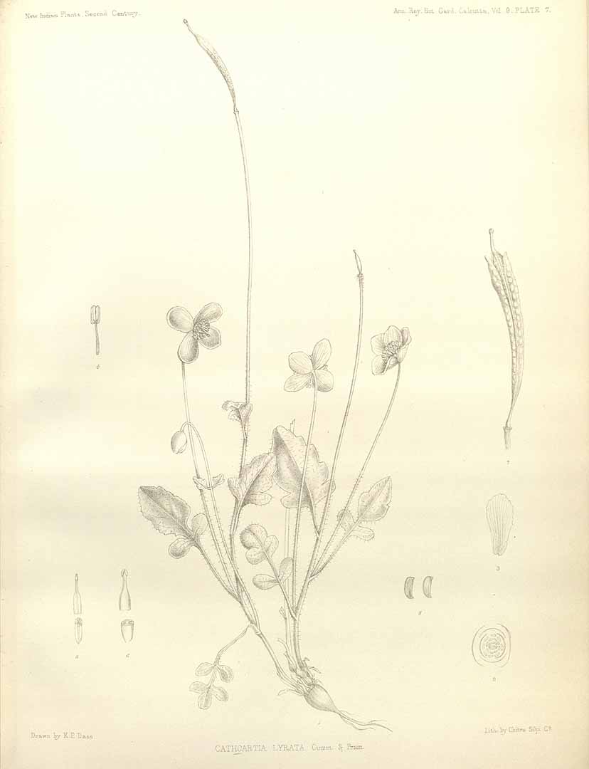 no HD illustration available (m3)