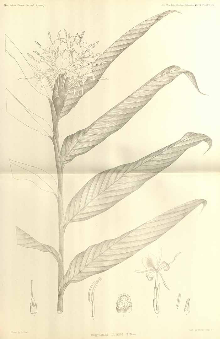 no HD illustration available (m3)