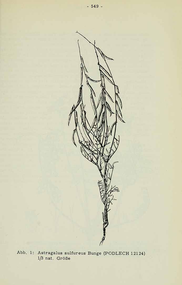 no HD illustration available (m3)