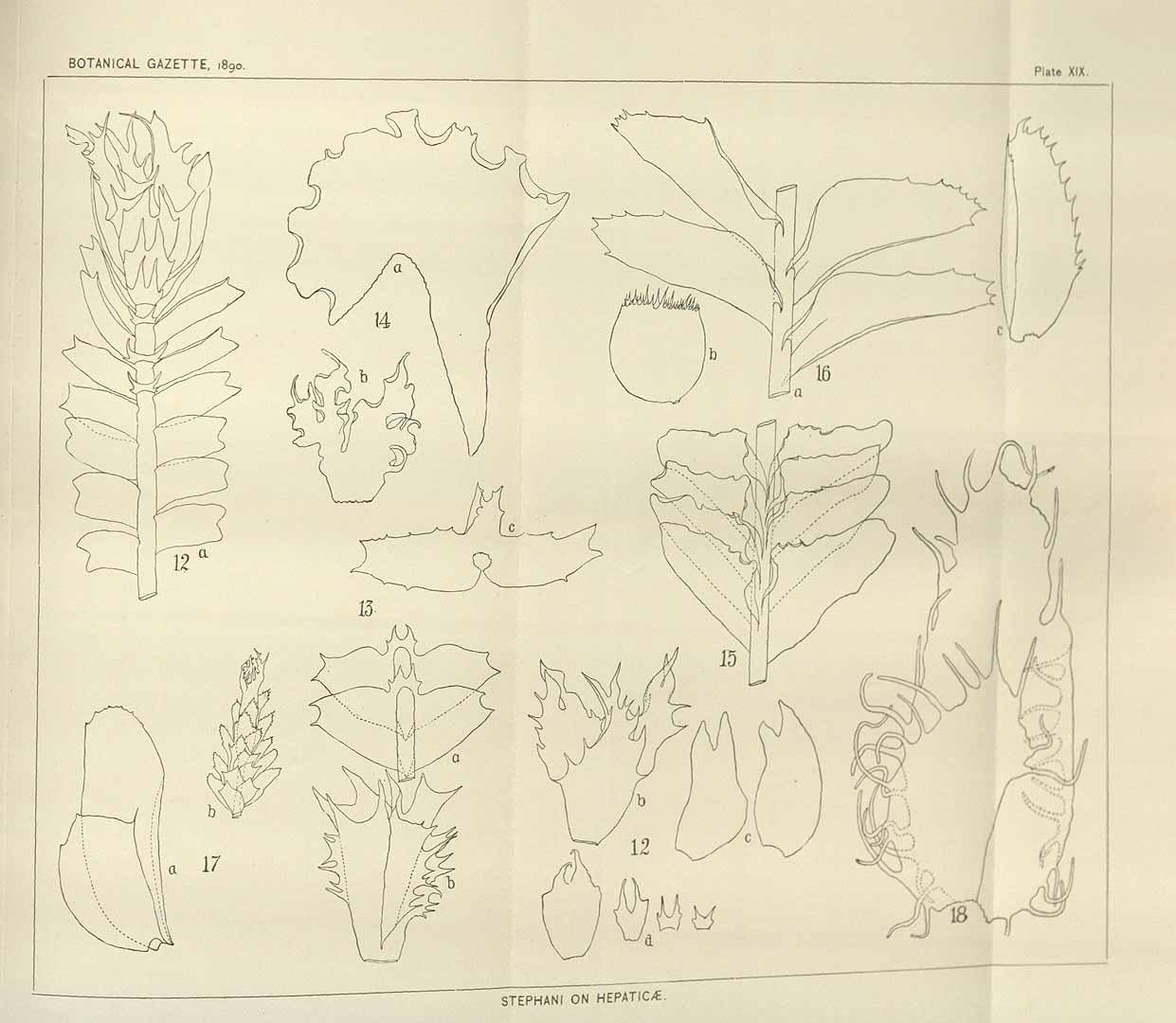 no HD illustration available (m5)