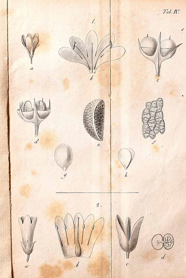 no HD illustration available (m3)
