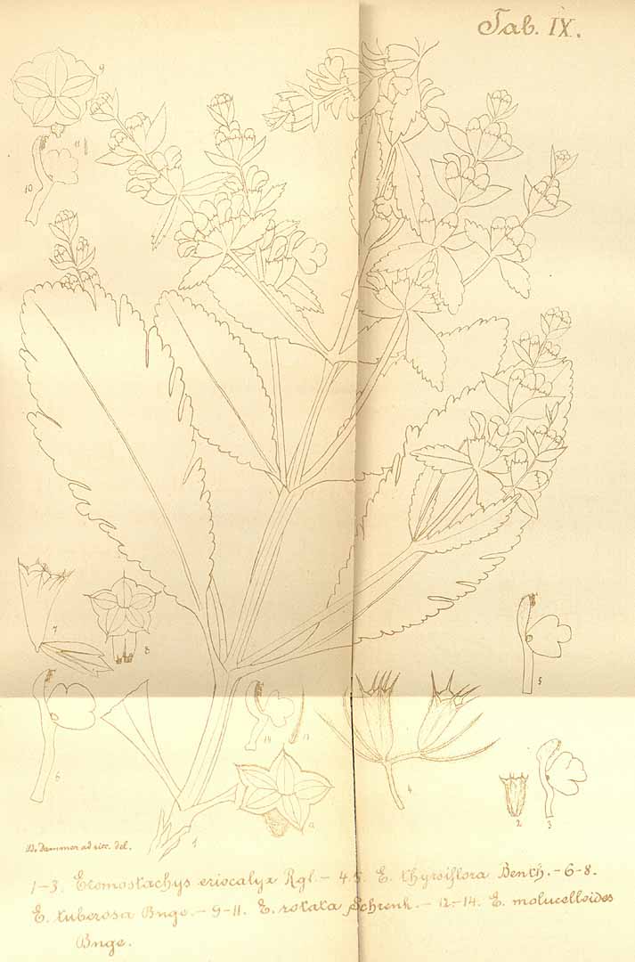 no HD illustration available (m1)
