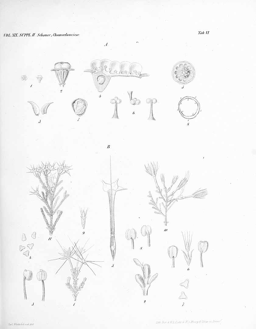 no HD illustration available (m3)