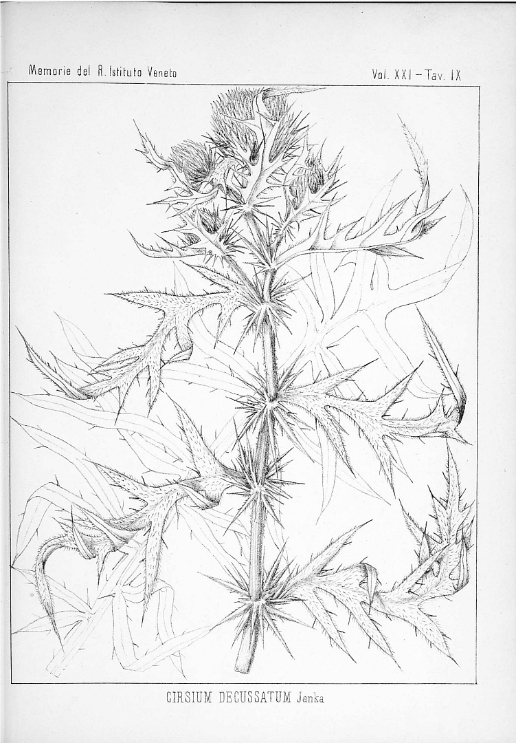 no HD illustration available (m3)