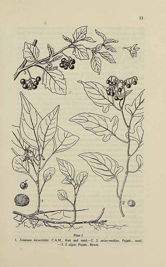 no HD illustration available (m1)