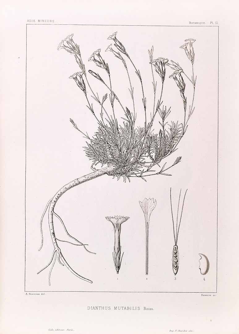 no HD illustration available (m1)