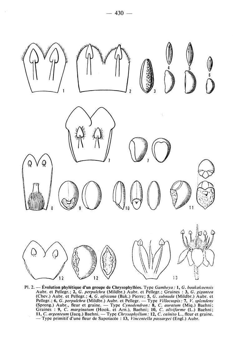 no HD illustration available (m3)