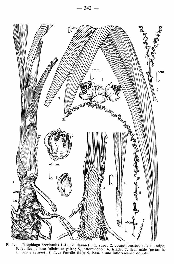 no HD illustration available (m3)