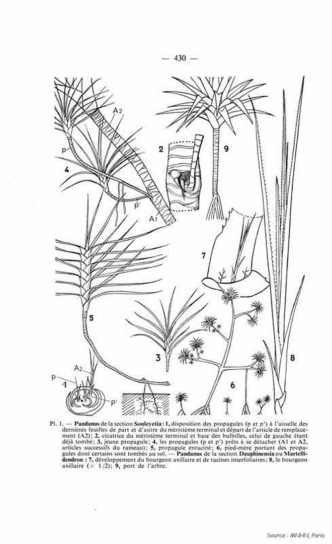 no HD illustration available (m1)