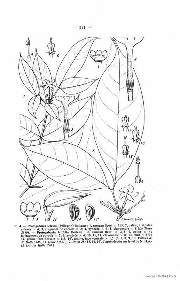 no HD illustration available (m5)