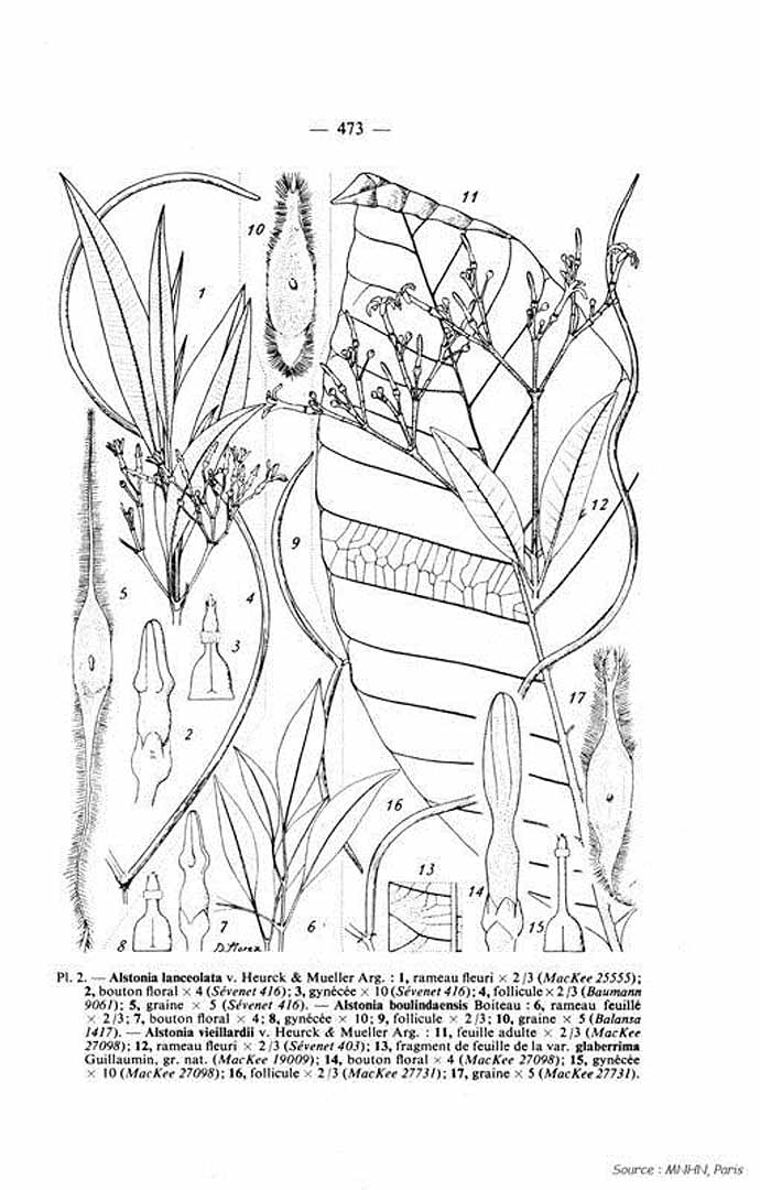 no HD illustration available (m3)