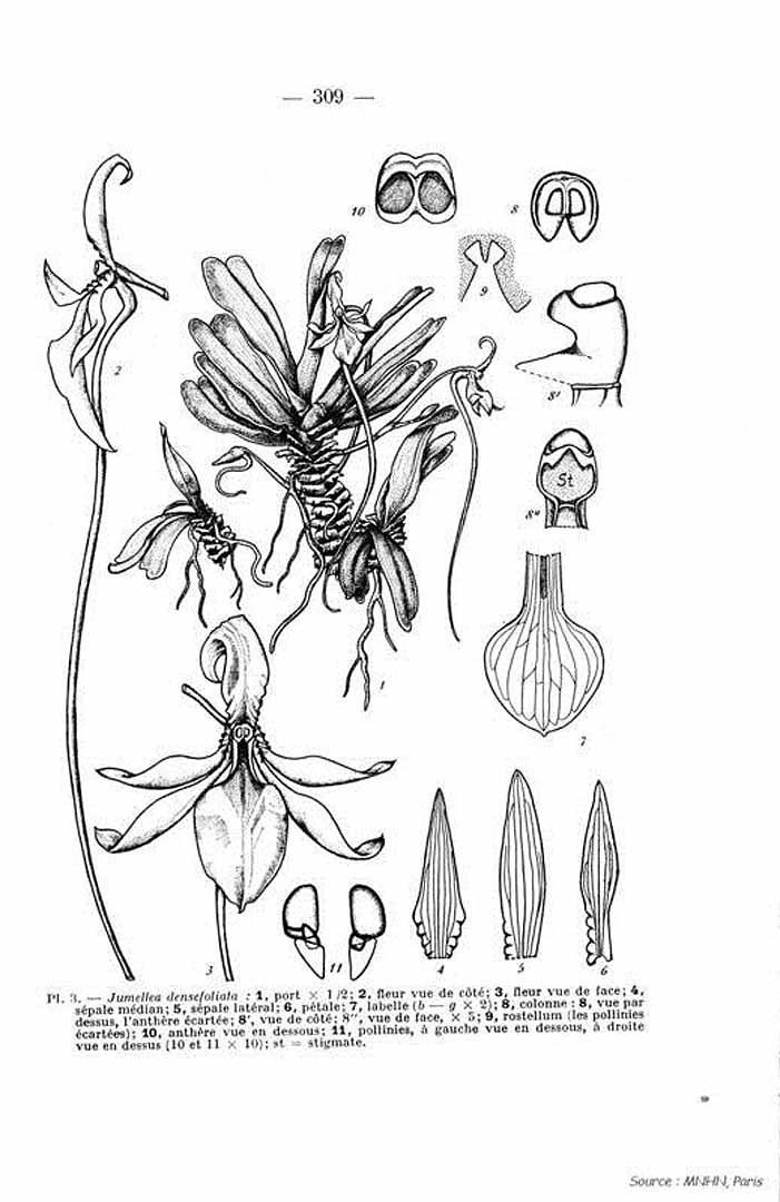 no HD illustration available (m3)