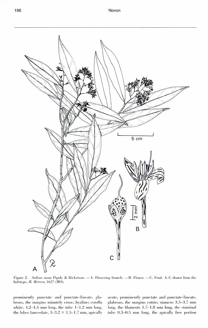 no HD illustration available (m3)