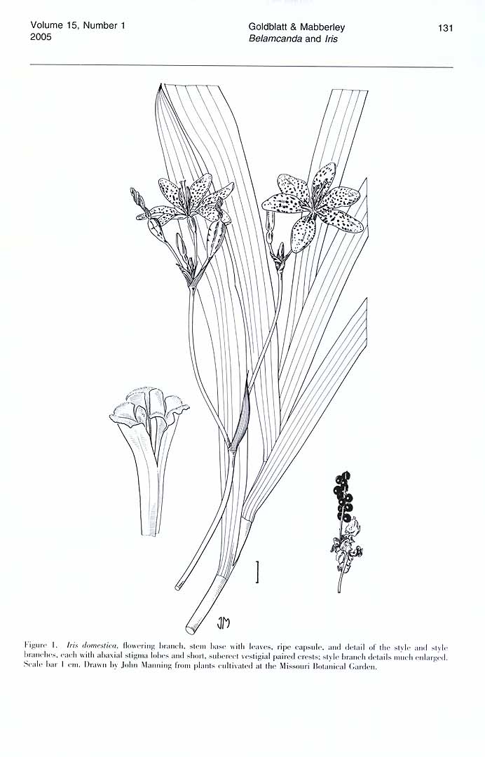 no HD illustration available (m1)
