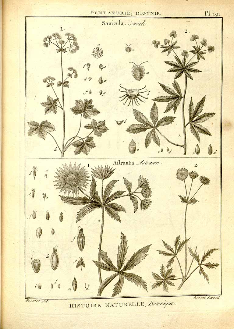 no HD illustration available (m3)