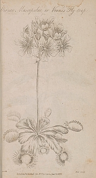 no HD illustration available (m1)