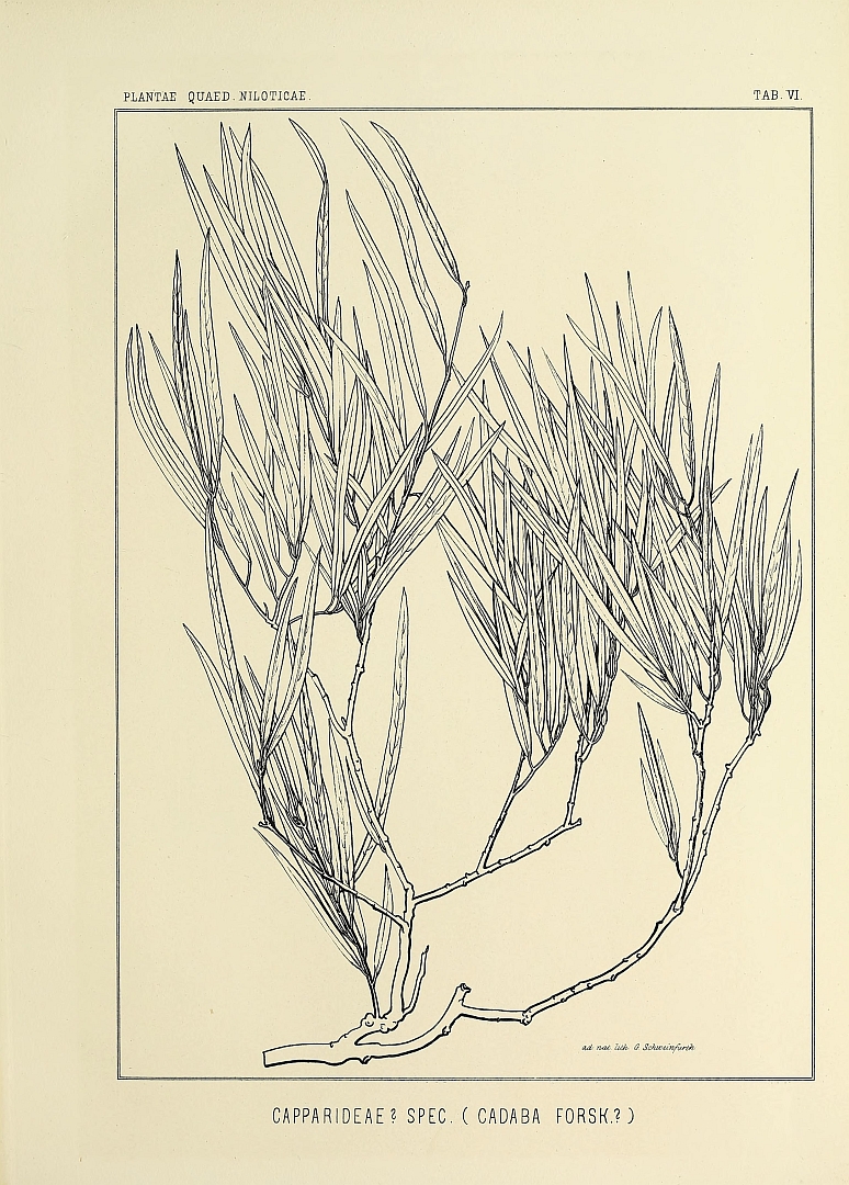 no HD illustration available (m3)