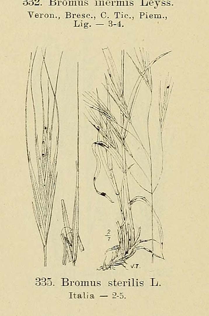 no HD illustration available (m1)