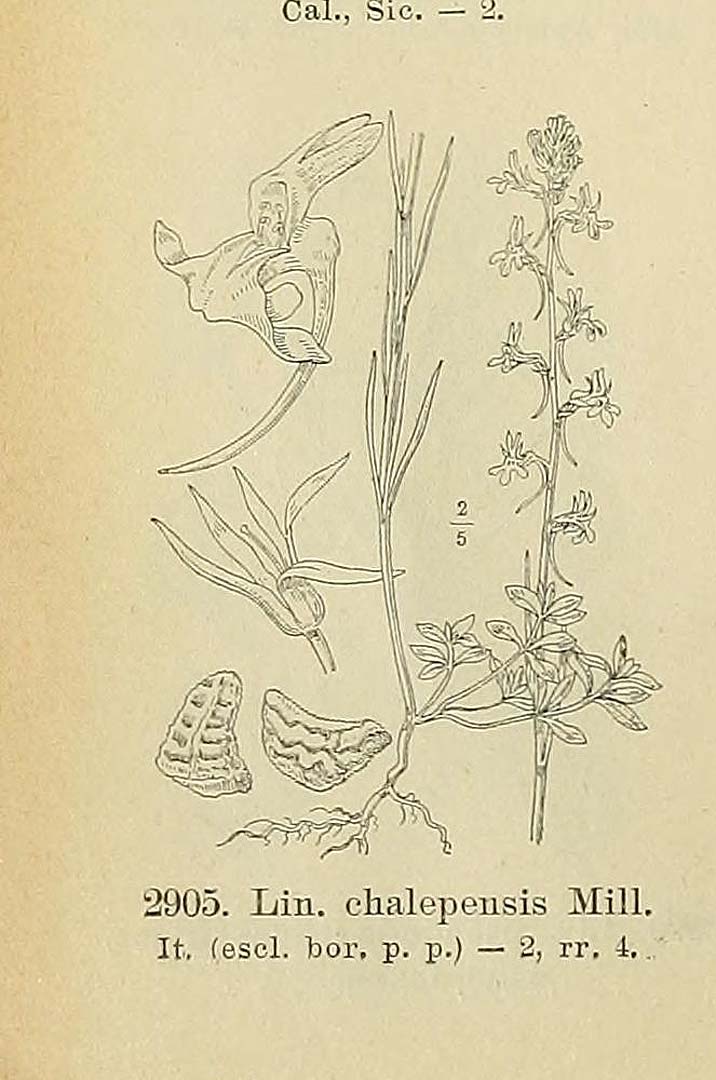 no HD illustration available (m1)