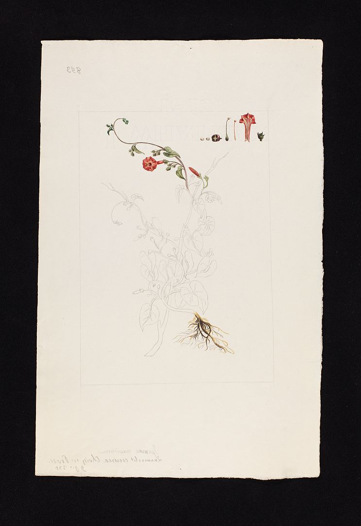 no HD illustration available (m3)