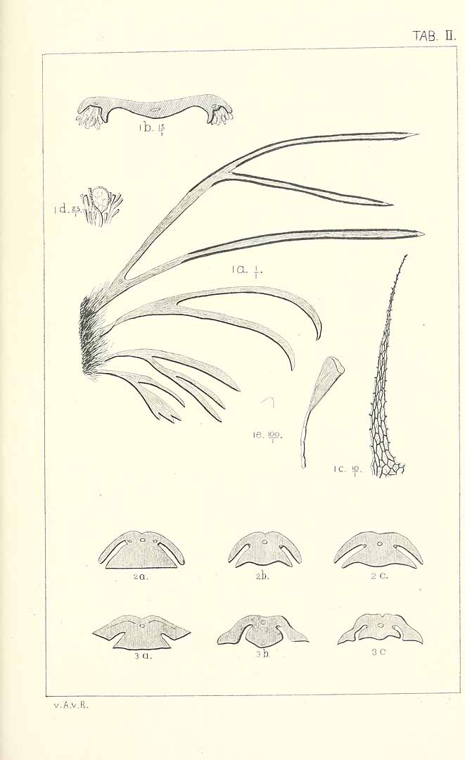 no HD illustration available (m5)