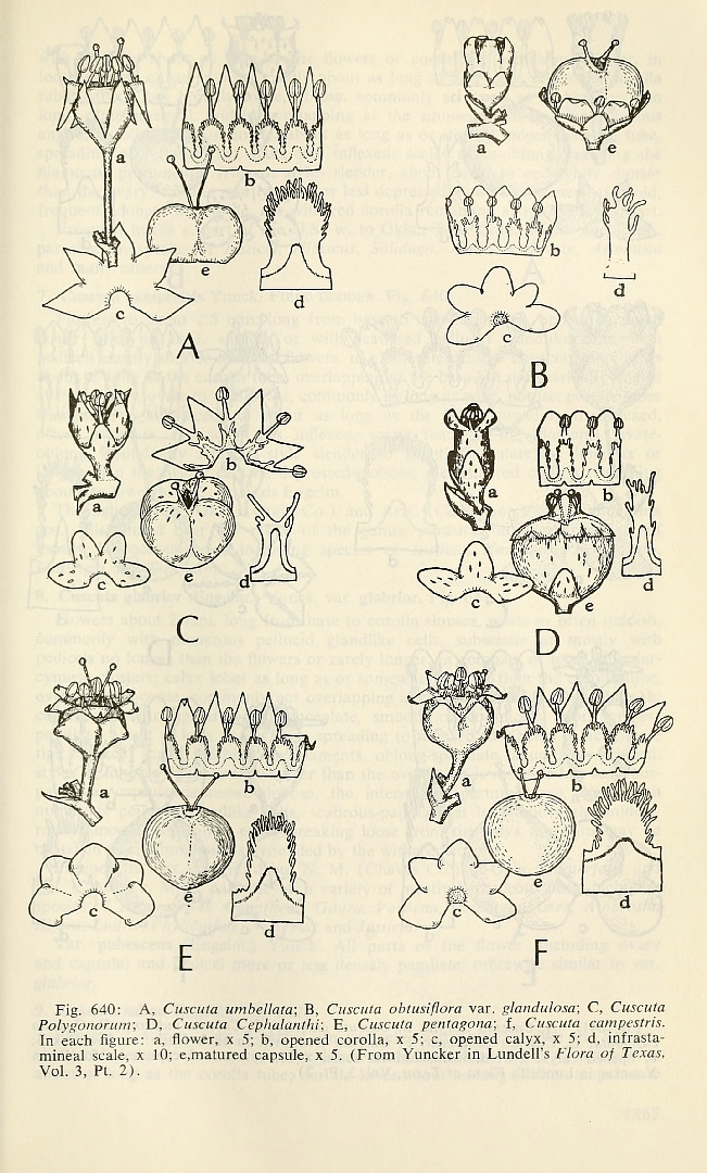 no HD illustration available (m5)