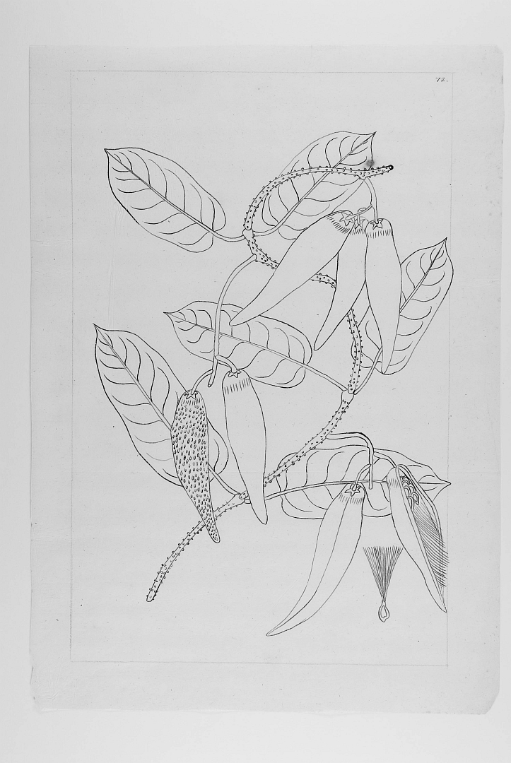 no HD illustration available (m1)