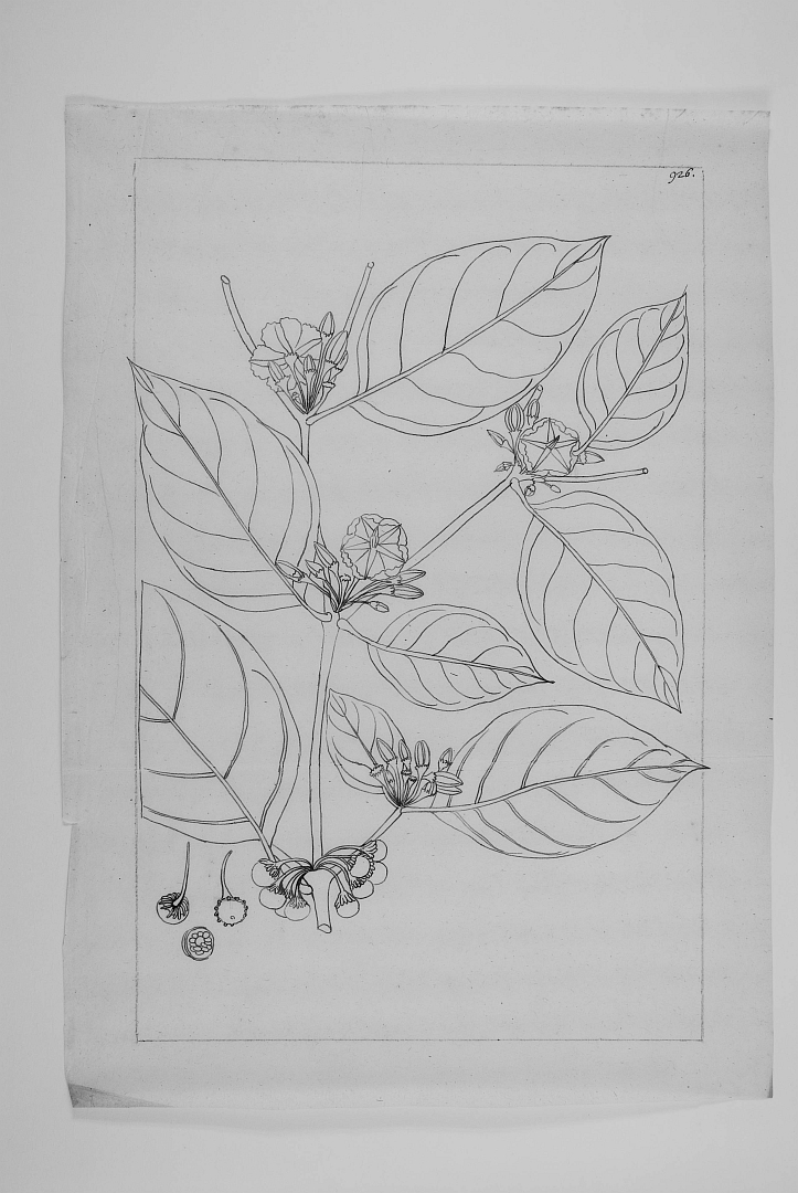 no HD illustration available (m1)