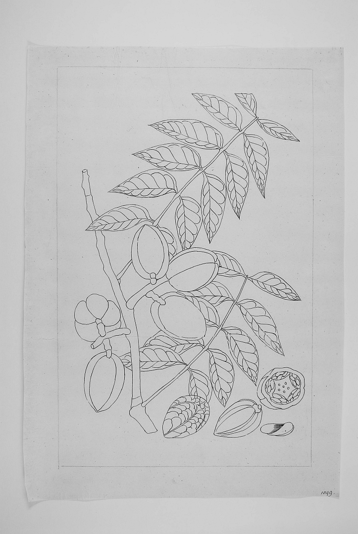 no HD illustration available (m3)