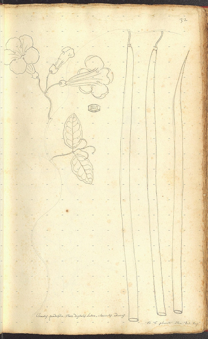 no HD illustration available (m5)