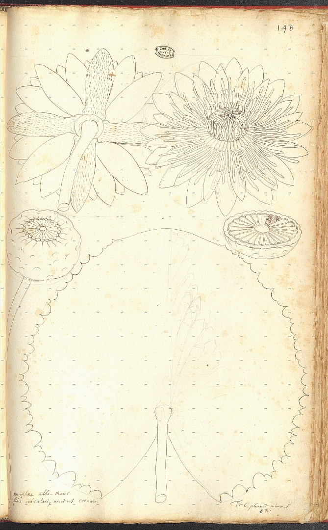 no HD illustration available (m5)