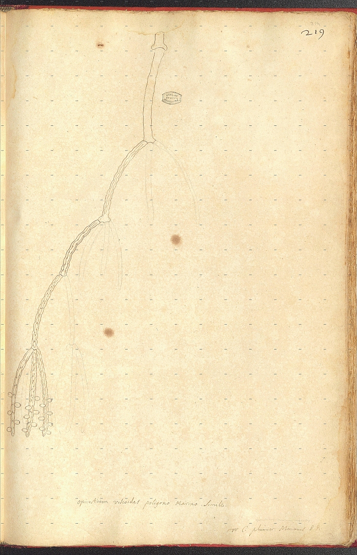 no HD illustration available (m5)