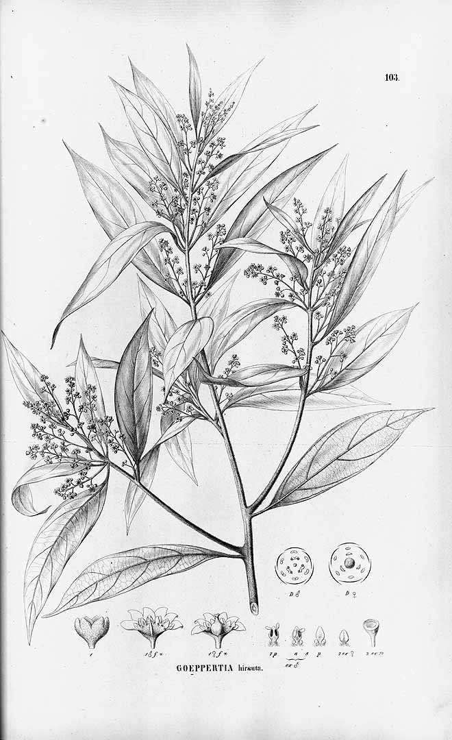 no HD illustration available (m3)