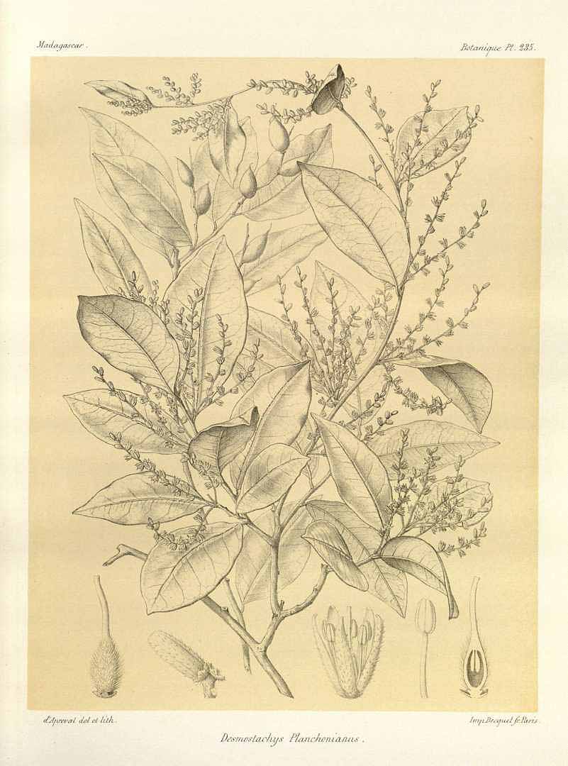 no HD illustration available (m3)