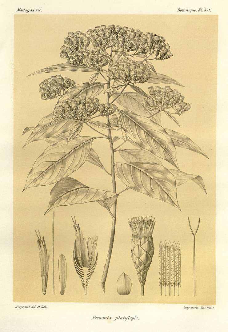 no HD illustration available (m3)