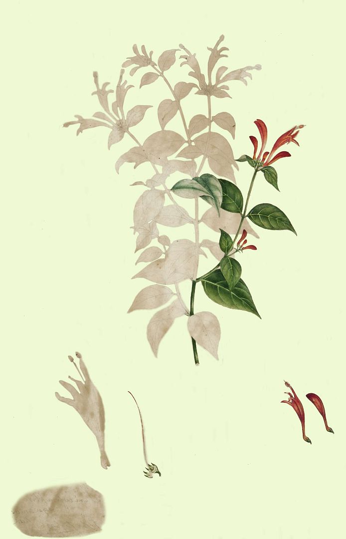 no HD illustration available (m3)