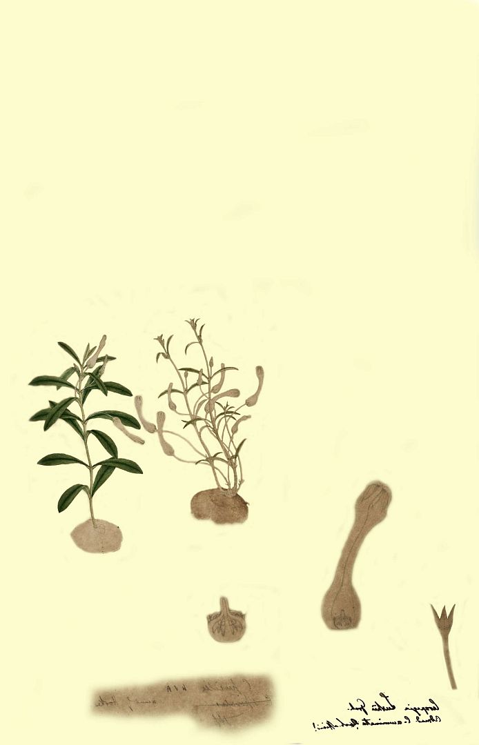 no HD illustration available (m3)