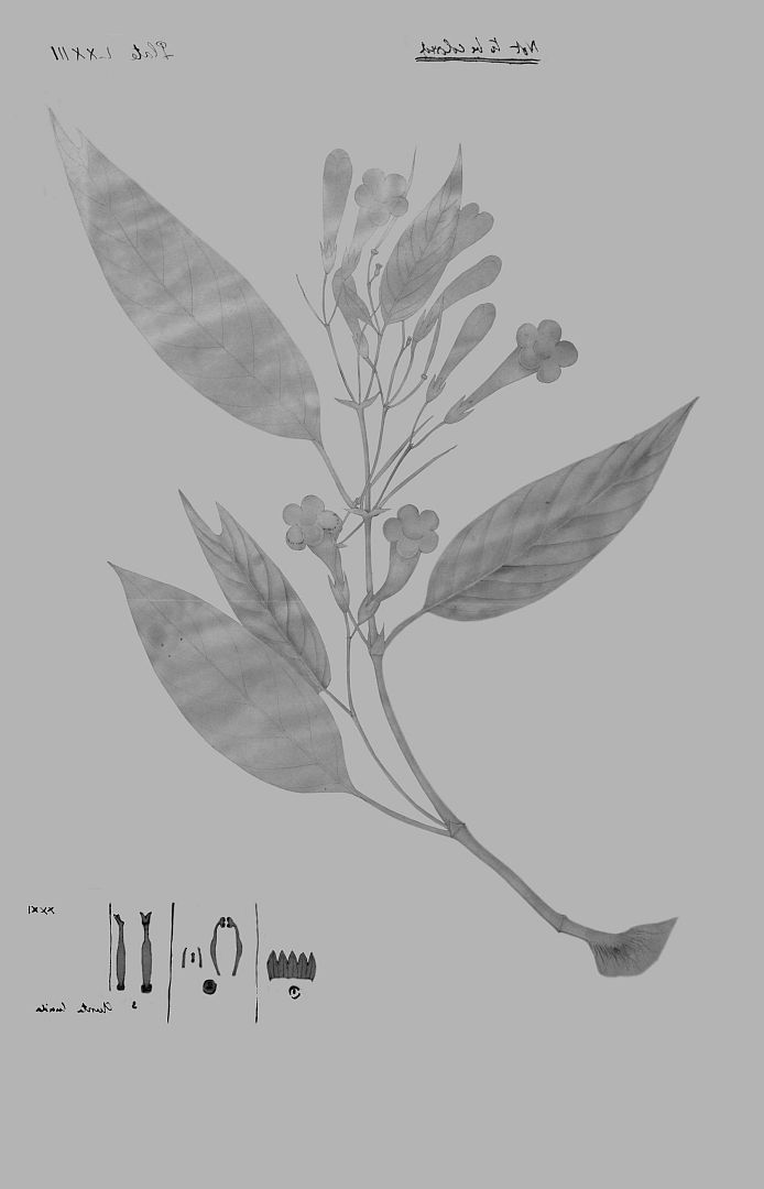 no HD illustration available (m3)