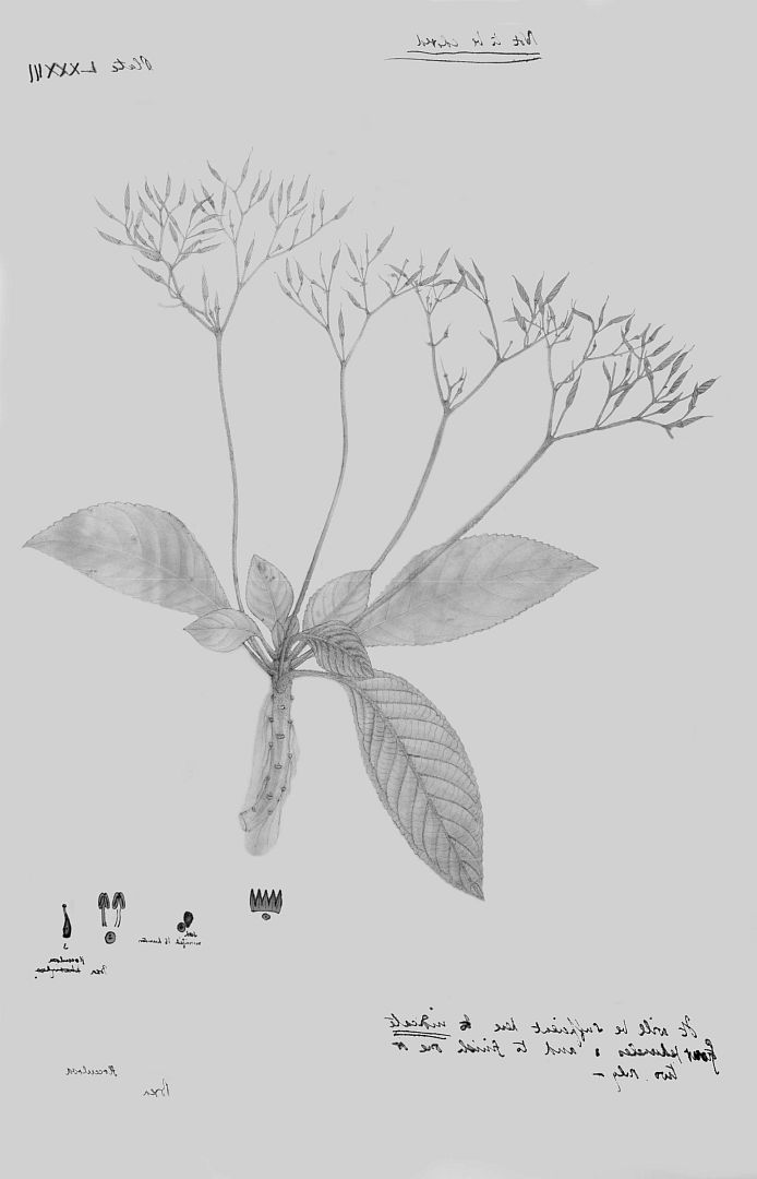 no HD illustration available (m3)