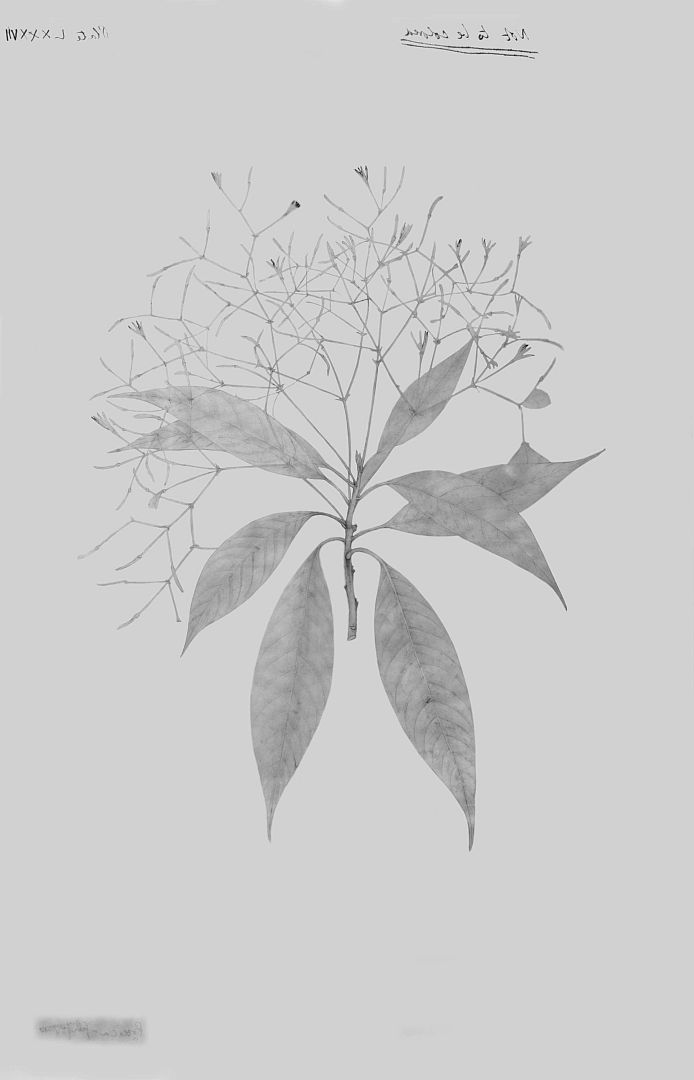 no HD illustration available (m3)
