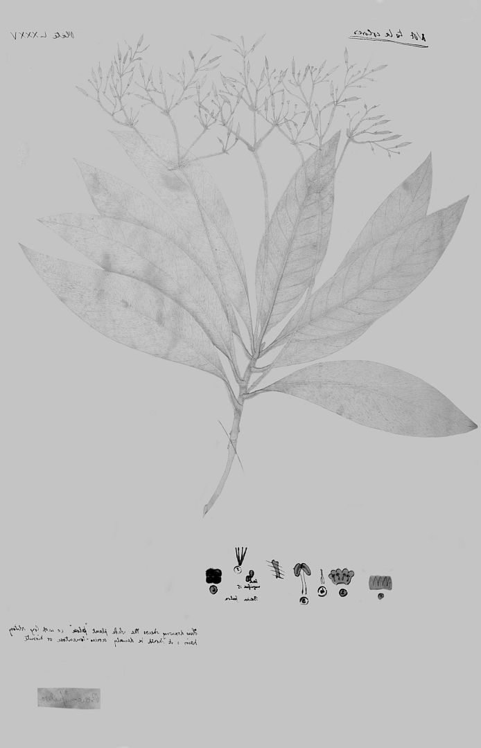 no HD illustration available (m3)