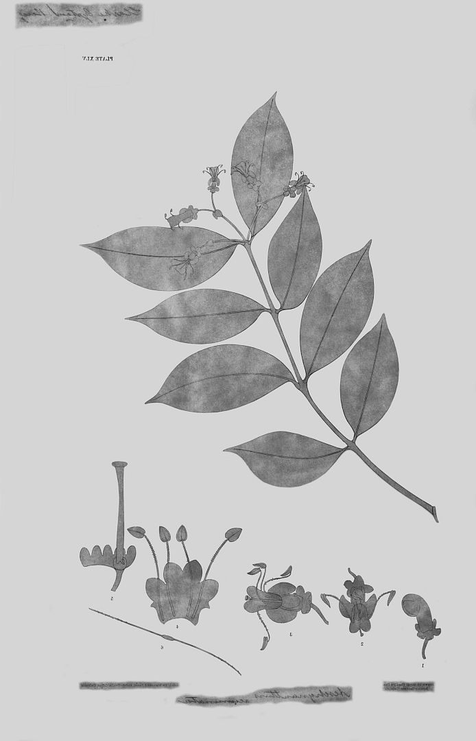 no HD illustration available (m3)