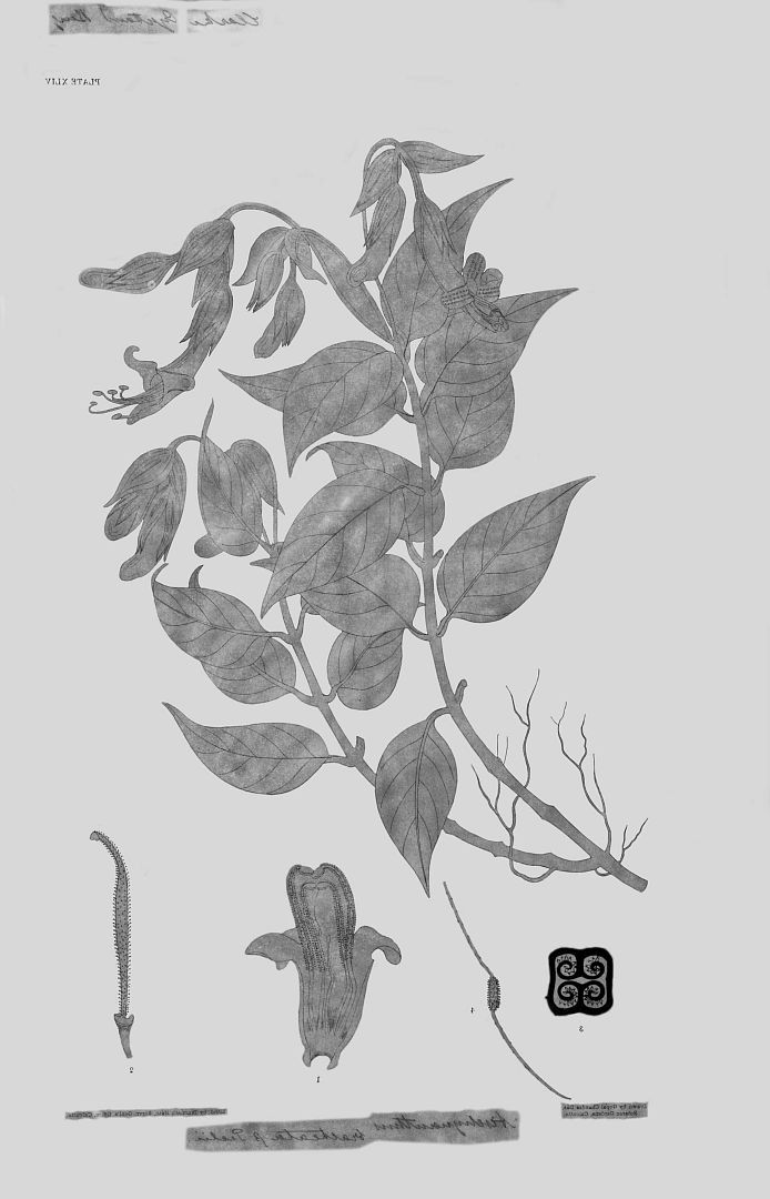 no HD illustration available (m3)