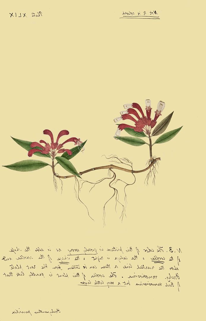 no HD illustration available (m3)