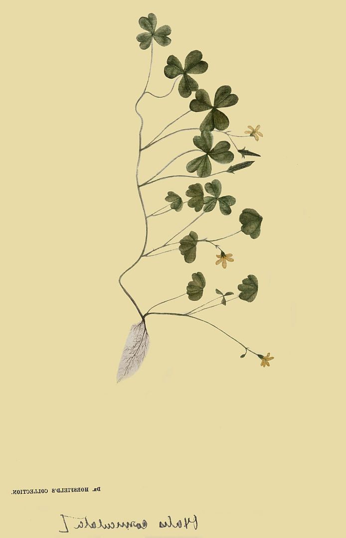 no HD illustration available (m3)