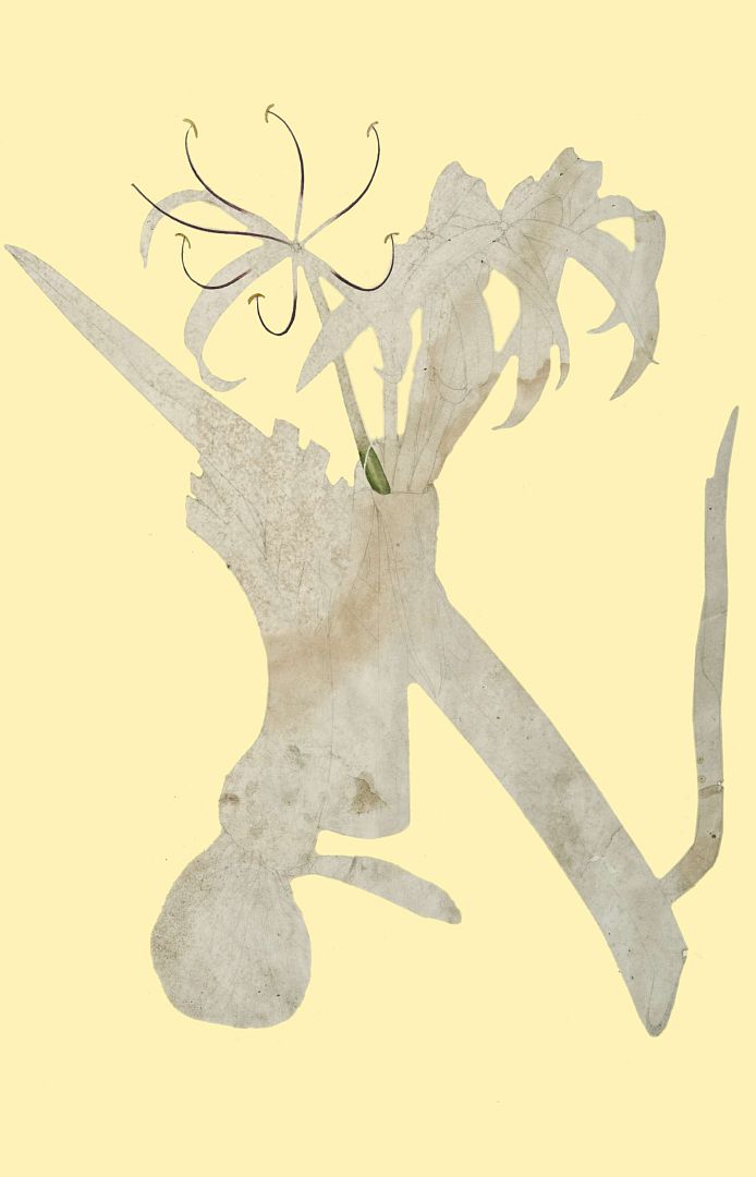no HD illustration available (m3)