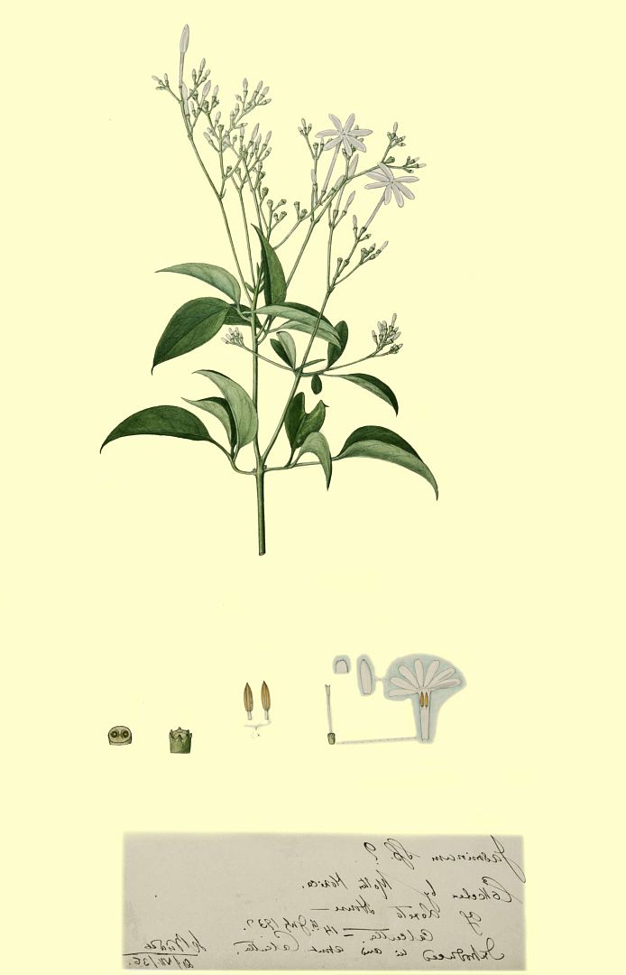 no HD illustration available (m3)