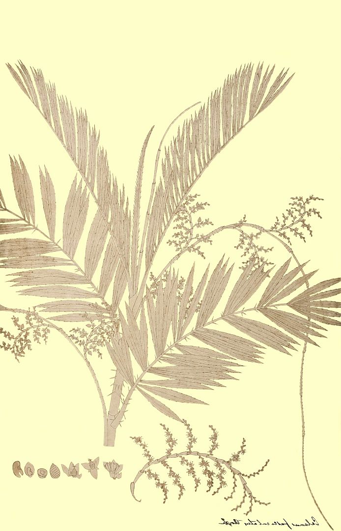 no HD illustration available (m3)