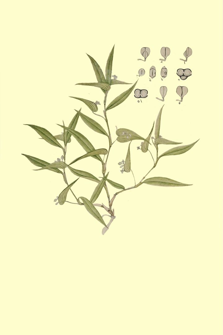 no HD illustration available (m3)