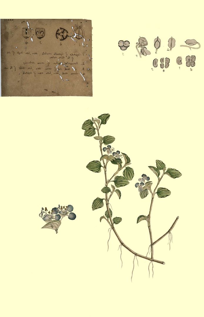 no HD illustration available (m3)